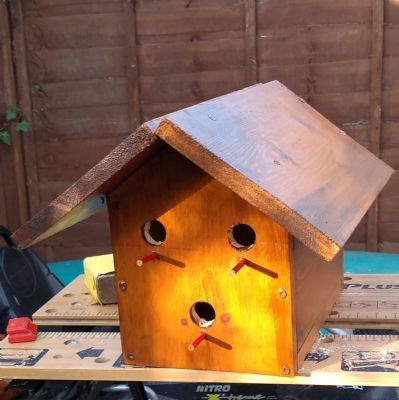 Y10 Bird Box 1